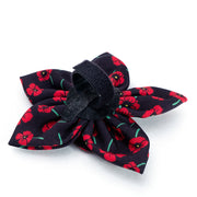 Poppies Black Flower Collar Attachment