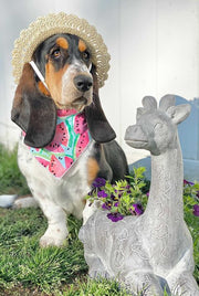 Watermelon Bandana, Floral Bandana, Flower Bandana, Tie Dog Bandana | Spring Bandana | Summer Bandana| Spring Bandanas