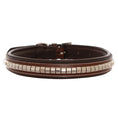 Load image into Gallery viewer, ExionPro Silver Clincher Padded Leather Dog Collar - Brown Padding
