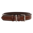 Load image into Gallery viewer, ExionPro Silver Clincher Padded Leather Dog Collar - Brown Padding
