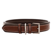 ExionPro Silver Clincher Padded Leather Dog Collar - Brown Padding