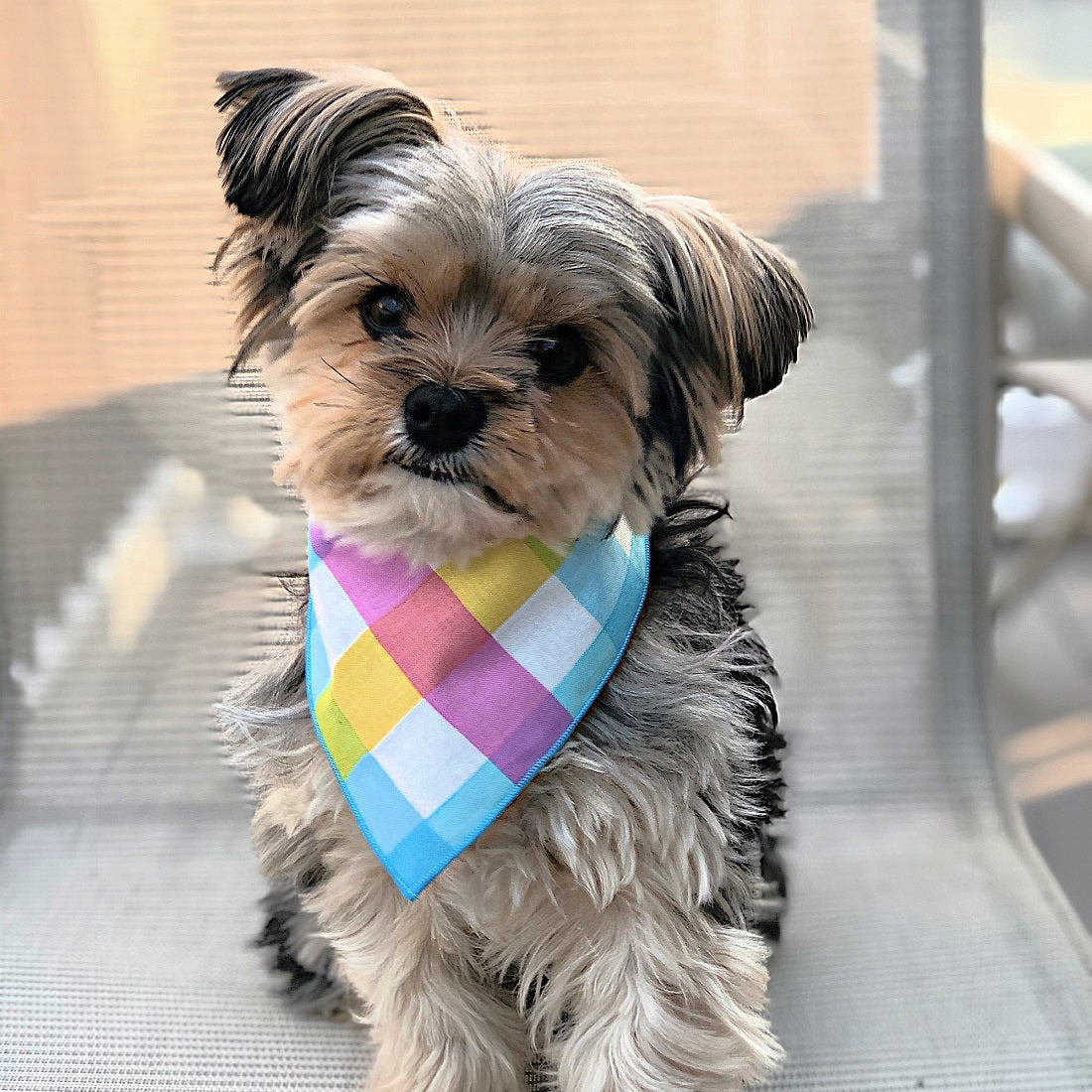 Spring Bandana, Plaid Bandana, Easter Bandana |Tie Dog Bandana | Summer Bandana | Dog Bandana | Spring Bandanas - Southlake Paws