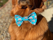 Birthday Bow Tie | Birthday Boy Dog Birthday |  Birthday Dog Bow Tie | Birthday Boy