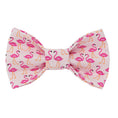 Load image into Gallery viewer, Flamingo Bow Tie, Summer Bow Tie, Dog Bow Tie - Southlake Paws
