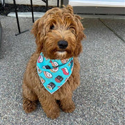 Sushi Dog Bandana | Food Dog Tie Bandana  | Design is facing upwards