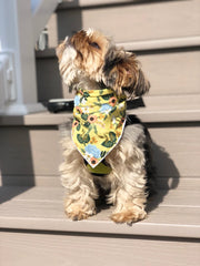 Spring Bandana, Floral Bandana, Flower Bandana, Tie Dog Bandana | Summer Bandana | Yellow Spring Bandanas