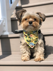 Spring Bandana, Floral Bandana, Flower Bandana, Tie Dog Bandana | Summer Bandana | Yellow Spring Bandanas