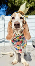 Load image into Gallery viewer, Spring, Spring Bandana, Floral Bandana, Flower Bandana, Summer Dog Bandana - Southlake Paws

