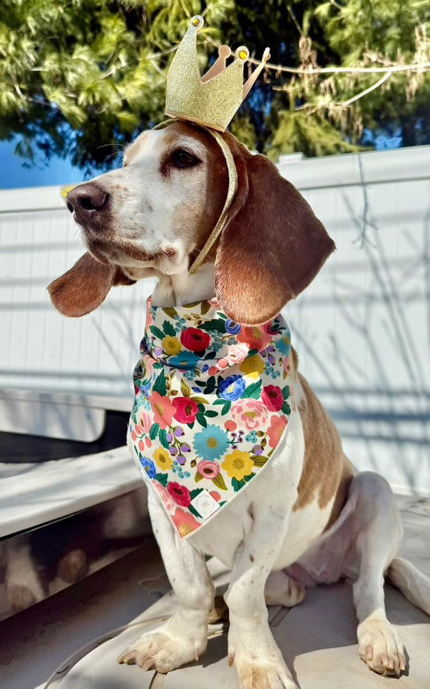 Spring, Spring Bandana, Floral Bandana, Flower Bandana, Summer Dog Bandana - Southlake Paws