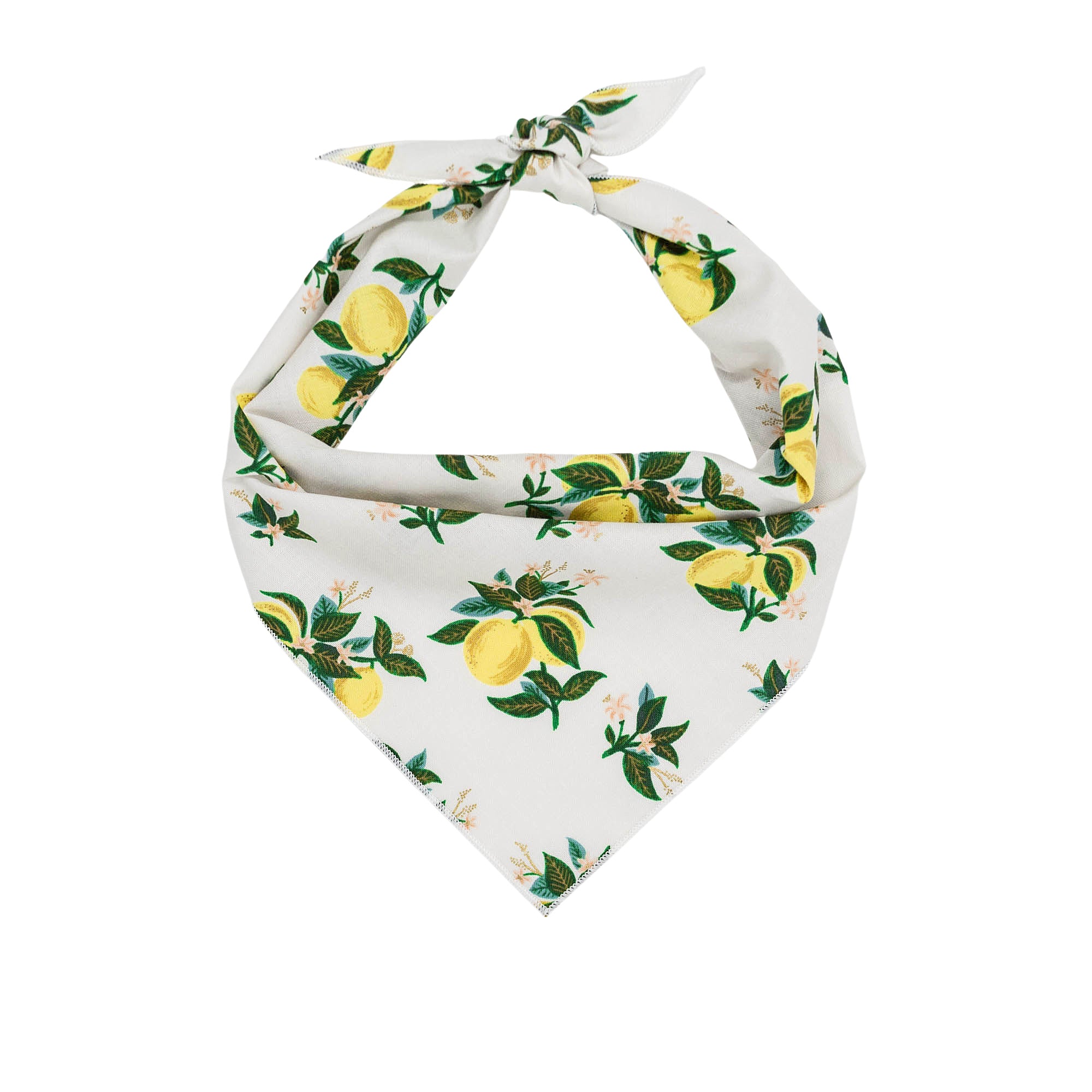 Spring Bandana, Flower Bandana, Dog Bandana by Rifle Paper Co | Lemon Blossom - Southlake Paws