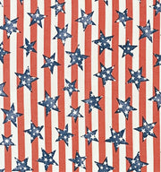 Summer | 4th of July | Memorial Day Bandana | USA | American Flag Bandana | Patriotic bandana | Stars & Stripes
