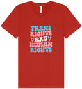 Load image into Gallery viewer, Trans Rights are Human Rights Unisex V-Neck Shirt
