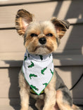 Load image into Gallery viewer, Nautical Bandana | Alligator Bandana | Summer Bandana | Beach Bandana | Alabama | Florida Gators | Crocodile
