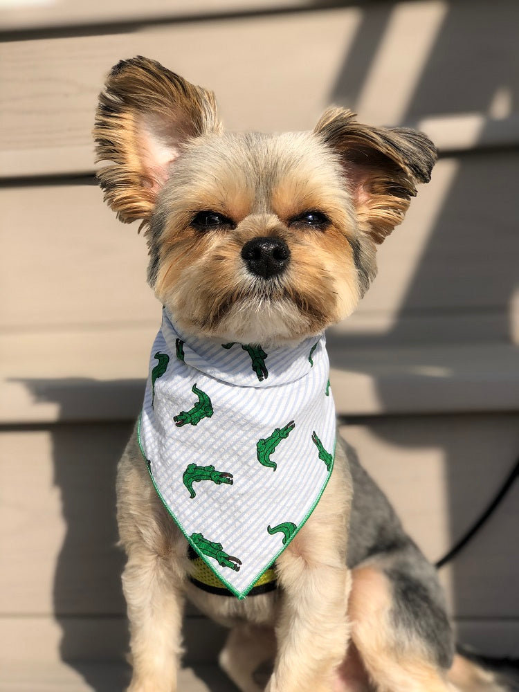 Nautical Bandana | Alligator Bandana | Summer Bandana | Beach Bandana | Alabama | Florida Gators | Crocodile