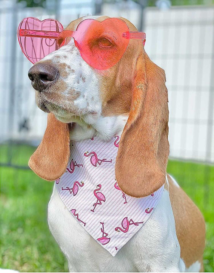Flamingo Bandana | Nautical Bandana | Summer Bandana | Beach Bandana | Bird Bandana | Florida - Southlake Paws