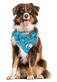 Load image into Gallery viewer, Nautical Bandana | Shark Bandana | Summer Bandana | Beach Bandana | Boating Bandana | Shark Week
