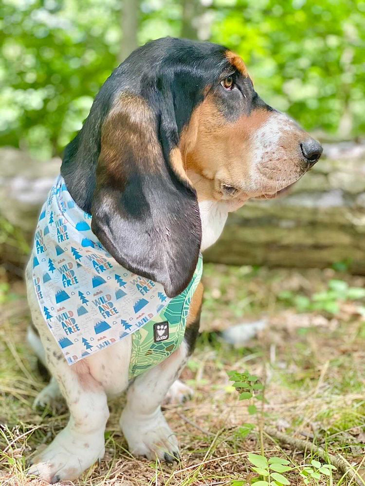 Camping |  Bandana, Camping Bandana, Summer Bandana,  Fall Bandana, Wild & Free
