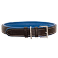 Load image into Gallery viewer, ExionPro Silver Snaffle Padded Leather Dog Collar - Blue Padding
