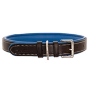 ExionPro Silver Snaffle Padded Leather Dog Collar - Blue Padding