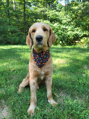 Halloween Bandana | Halloween Dog Bandana | Black Dog Bones, House & more