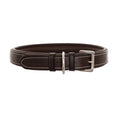 Load image into Gallery viewer, ExionPro Silver Snaffle Padded Leather Dog Collar - Brown Padding
