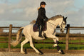 Load image into Gallery viewer, Ultraviolet Saddle Pad

