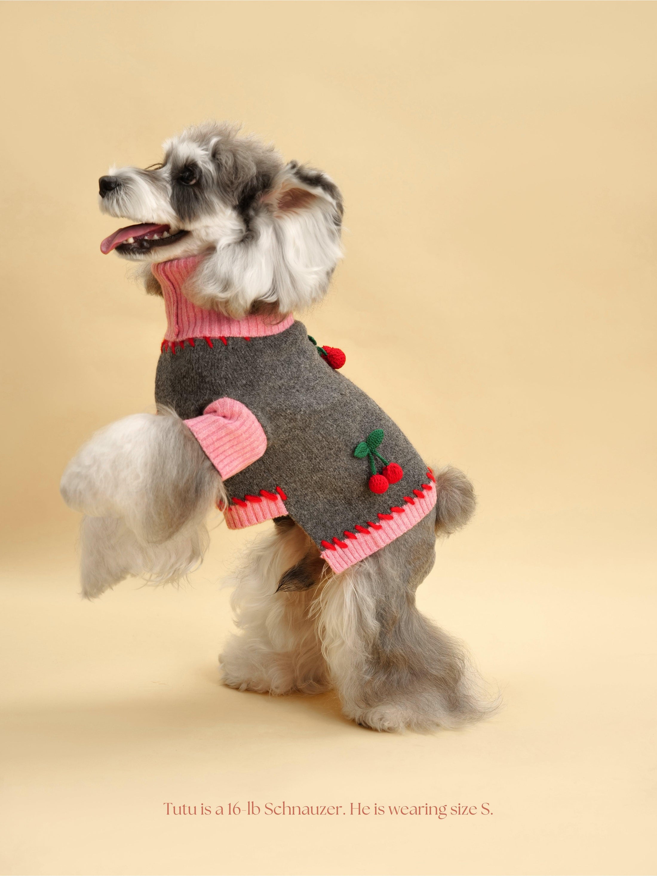 Cherry Kiss Sweater 