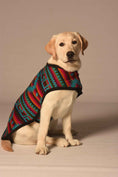 Load image into Gallery viewer, Desert Rose Blanket Dog Coat
