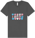 Load image into Gallery viewer, Trans Unisex V-Neck Shirt
