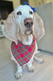 Plaid Bandana | Christmas Bandana | Tartan Bandana | Holiday Bandana