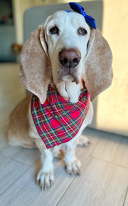 Plaid Bandana | Christmas Bandana | Tartan Bandana | Holiday Bandana