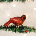 Load image into Gallery viewer, Resting Cardinal Ornament - Southlake Paws

