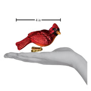 Resting Cardinal Ornament