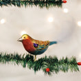 Load image into Gallery viewer, Lilac-breasted Roller - Southlake Paws
