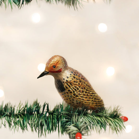 Northern Flicker Ornament - Southlake Paws