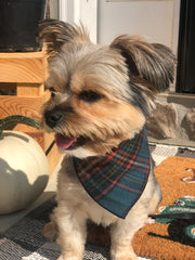 Plaid Bandana, Fall Bandana, , Winter Bandana, High Quality Fabric, Blue