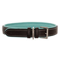 Load image into Gallery viewer, ExionPro Silver Snaffle Padded Leather Dog Collar - Sky Blue Padding
