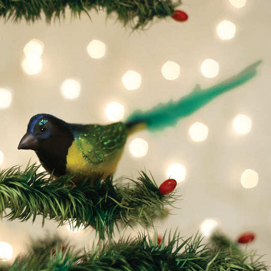 Green Jay Ornament - Southlake Paws