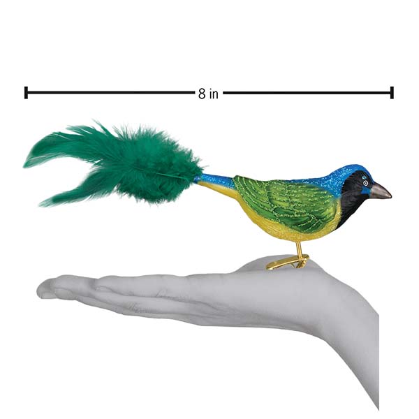 Green Jay Ornament - Southlake Paws