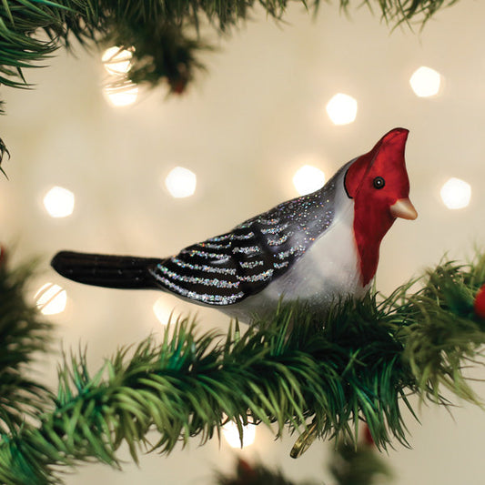 Red-crested Cardinal Ornament - Southlake Paws
