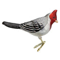 Load image into Gallery viewer, Red-crested Cardinal Ornament - Southlake Paws
