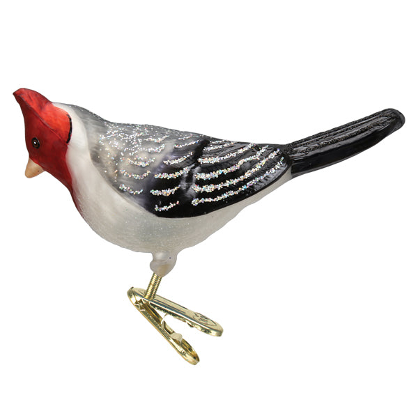Red-crested Cardinal Ornament - Southlake Paws