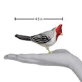 Load image into Gallery viewer, Red-crested Cardinal Ornament - Southlake Paws
