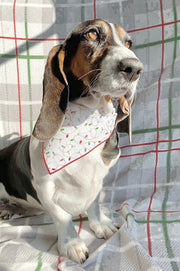 Christmas Bandana |  XMAS Bandana | Holiday Bandana | Lights