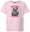 Load image into Gallery viewer, Sorry Santa I've Been Feral Children's Gildan Soft Shirt
