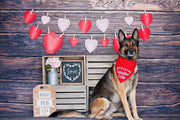 Valentine Bandana | Valentines Day Bandana | Valentine Dog Bandana | Official Valentine Cutie Red