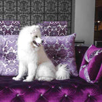 Luxury Care Collection by Hydra