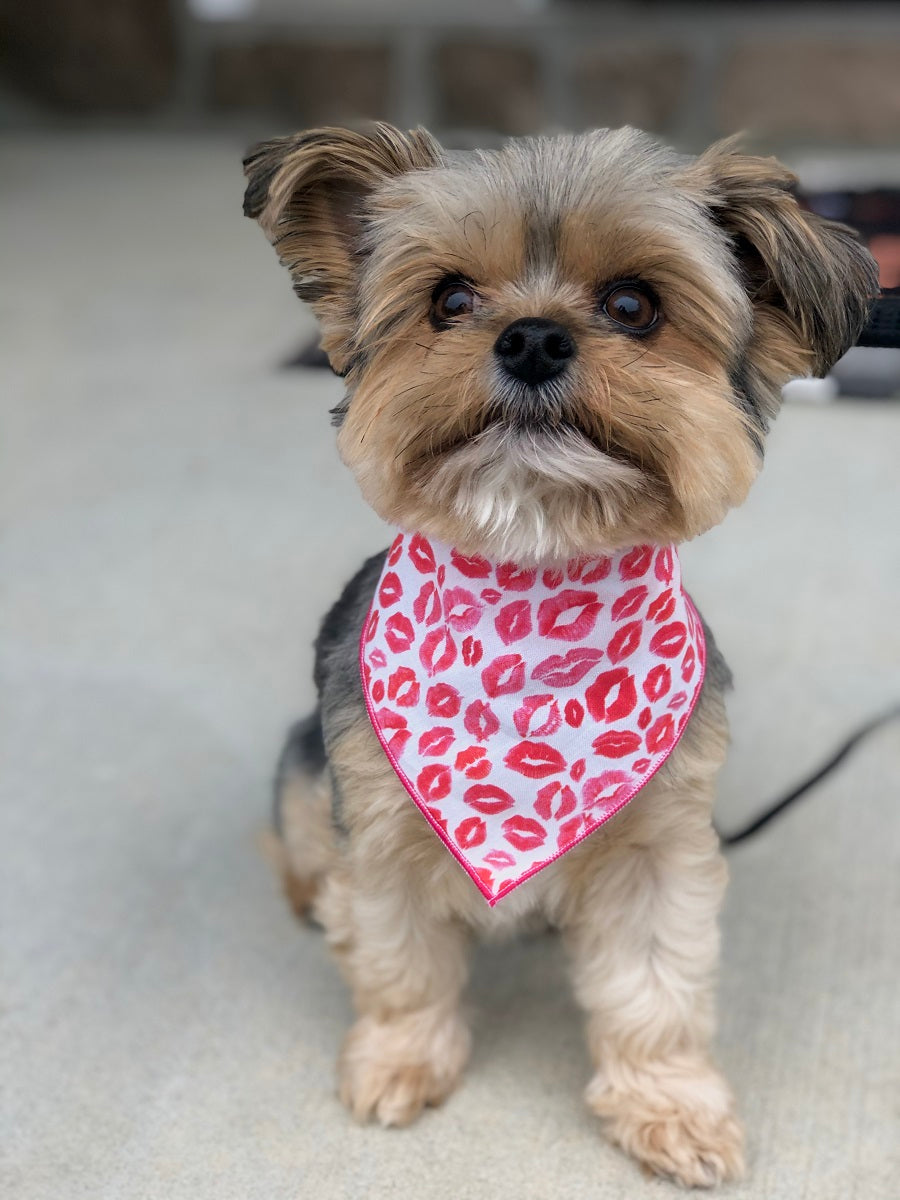 Valentine Bandana | Valentines Day Bandana | Red Hearts Valentine Dog Bandana,  Lips | Kisses - Southlake Paws