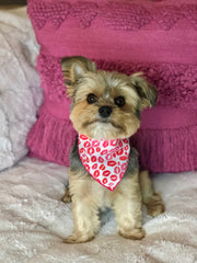 Valentine Bandana | Valentines Day Bandana | Red Hearts Valentine Dog Bandana,  Lips | Kisses