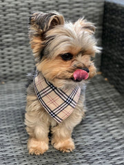 Plaid Bandana | Spring Bandana | Fall Bandana - LOW STOCK